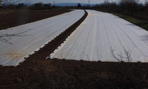 Plandeka na zamówienie – praktyczne zastosowania