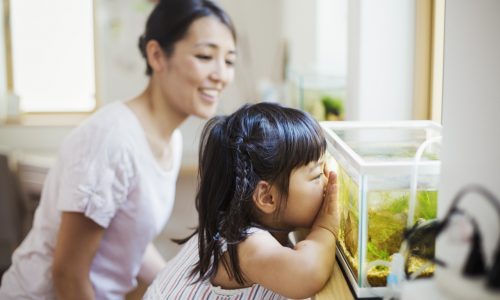 Oświetlenie do akwarium – kluczowy element zdrowego i efektownego zbiornika