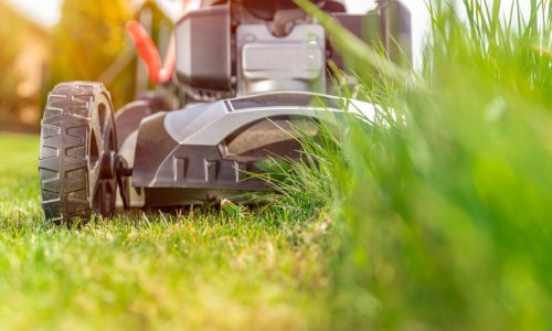 Sprzęt do pielęgnacji ogrodu – jakie urządzenia szczególnie przydają się wiosną?